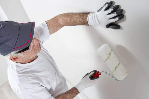 Best Fire-Damaged Drywall Repair  in Hayward, CA